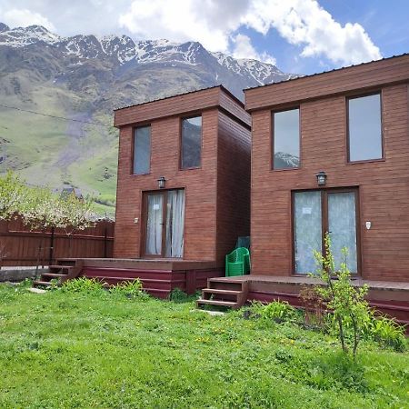 Appartamento T&M Timeless Memories Kazbegi Esterno foto