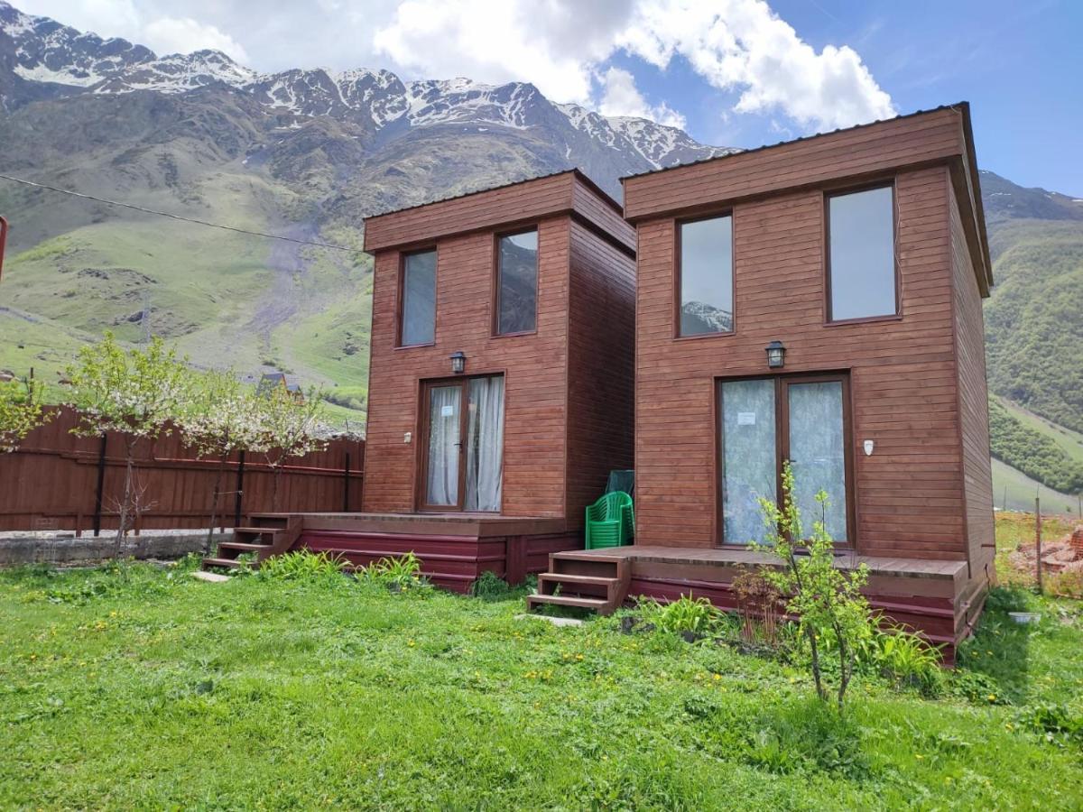Appartamento T&M Timeless Memories Kazbegi Esterno foto